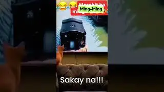 Napatalon Si Ming-Ming