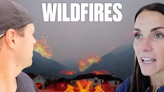WILDFIRE