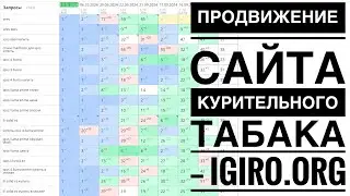 Продвижение сайта компании Iqos