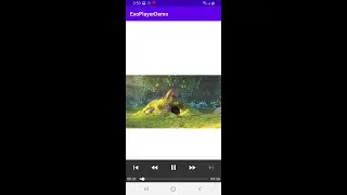 Android ExoPlayer Example in Kotlin