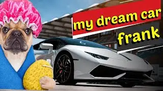 MY DREAM CAR FRANK😁😁 FINALLY MY HOME || VIDEO