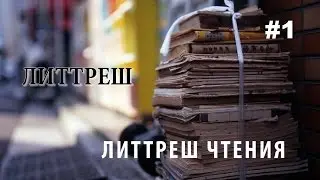 ЛИТТРЕШ ЧТЕНИЯ. Вероника Мелан. Чейзер 2.