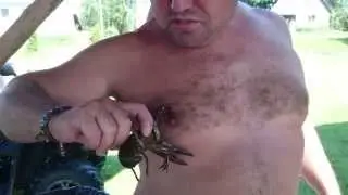 CrayFish vs.  Nipple
