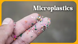 What are microplastics, and why are they terrifying?