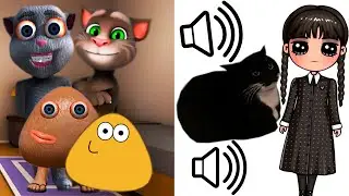 Maxwell Wednesday but it's Voice of Other Tom Juan Pou Peu