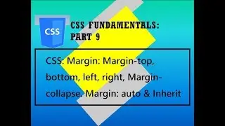 CSS Fundamentals #9: Margins