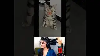 Khule me hagna band karo / payal gaming reaction funny video 🤣 / Payal gaming / Omegle #shorts