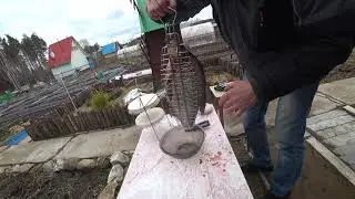 Лещ и лепёшки в тандыре