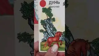 Расклад:Что ждет  РЫБОК в июле?(гороскоп)💚 +79188976803
