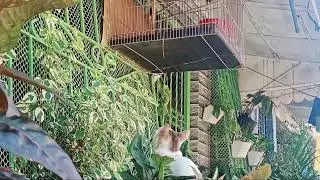 Wag meng Masisira Ang Buhay Mo