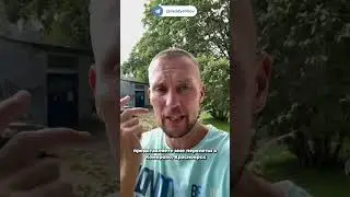 Михалыч ответил на моё предложение #дмитрийшилов #шилов #калининград