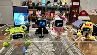 Miraenda & Friends - Mystery Unveiling Livestream (Little Yellow Ducky)