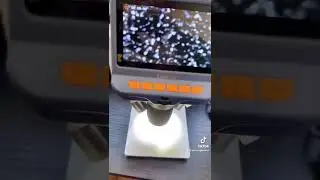Part 2 of is it “Fake or Real?”