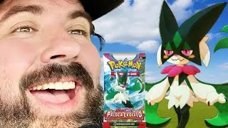 How many Pokemon packs is this cat going to open?
