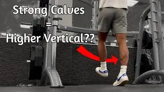How Important Are Calves For Your Vertical Jump?