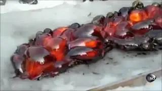 Buzun Üzerine Lav Dökülürse Ne Olur