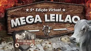 🐂5º Mega Leilão Virtual - 📍 Mangueira Branca Leilões
