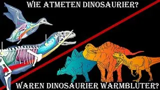 Vom Dino zum Vogel Teil 6: Körpertemperatur, Lungen, Herz und Gewebe der Dinosaurier