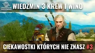 Wiedźmin 3 Krew i Wino - Ciekawostki których nie znasz #3