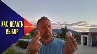 Как сделать выбор. Святослав Саражин