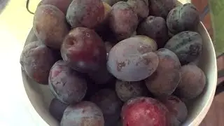 Поразит с первой ложки!!!!Чернослив в шоколаде - варенье к новому году!!!
