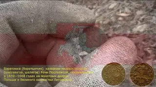 КОП КАК ОНО ЕСТЬ! КОП и РЫБАЛКА! ПОИСК МОНЕТ С МЕТАЛЛОИСКАТЕЛЕМ! Находки есть и есть!
