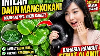 You Won’t Believe This Leaf Can Regrow Hair Naturally 😳