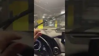 Спокойной ночи я дома