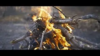 Cooking fish in nature