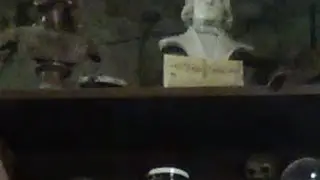 Museo Dell' Impossibile - Wunderkammer - Live dal museo