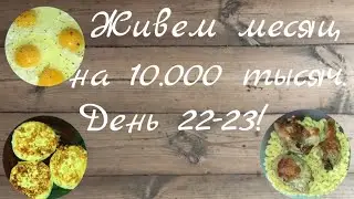 Живем месяц на 10000₽// День 22-23!