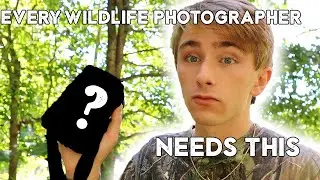 Every Wildlife Photographer NEEDS This (Dsoon T3 Trail Camera)