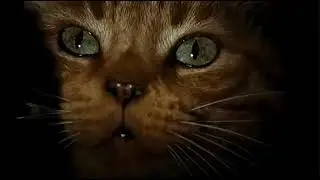 Jonesy o Jones, el gato de Alien: El octavo pasajero (1979)