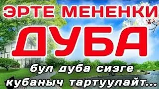 ИЙГЛИК ЖАНА  ЖОЛДУ АЧУУЧУ ӨТӨ КҮЧТҮҮ СҮРӨ! |КЫЯЗ КААРЫ| НАБАИ СУРОСУ 41 ЖОЛУ
