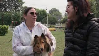MA JUNGLE | Capsule 4: Le Centre éducatif canin 🐶