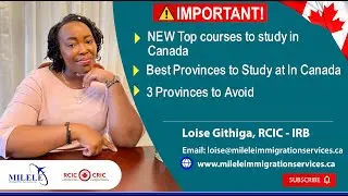 Must-See List: Top Courses to Study in Canada, Best Provinces to Choose, and 3 You Should Avoid!