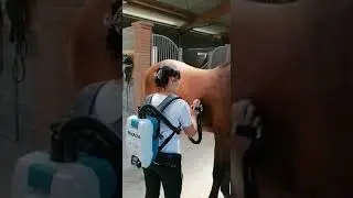 AFFIANCAMENTO TECNICO: Makita in scuderia
