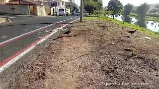 Cuidado com a pratica pecaminosa