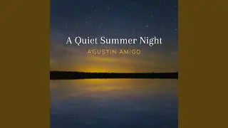 A Quiet Summer Night