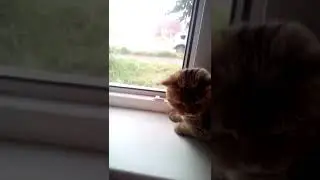 пляс клас