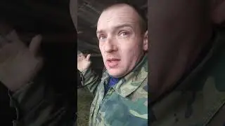 Послеродовой парез у овец.