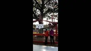The Goats of FryeBurg Fair! (October 10th, 2021)