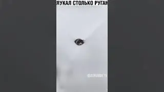 ПОЛЗЕТ😼 
