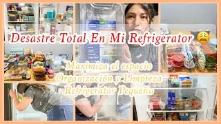 Limpia conmigo mi pequeño refrigerador + Depensa semana |Limpieza y Organización de Refrigerador