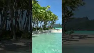 Tropical Paradise 🏝 Bora Bora, French Polynesia 🇵🇫 4K Travel #shorts