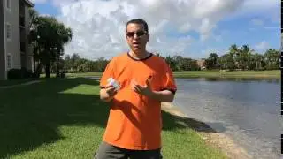 Probiotic Review - Number One Nutrition Advanced Probiotic