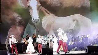 Cecilia Bracamonte  y José Antonio