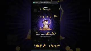 комбо карты в хамстер комабат за 26-27 июня. #hamsterkombat