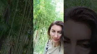 Как убрать Препятствия??? 🤗🗝🌊