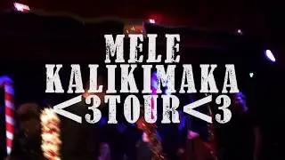 The TSCD Mele Kalikimaka Tour - Insights